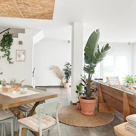 Saone & Coworking Guest house *