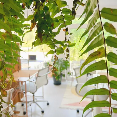 Saone & Coworking Ericeira
