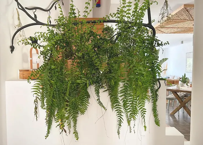 Casa de hóspedes Sãone - Coworking&retreat Location Ericeira