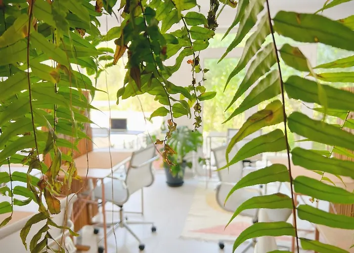 Sãone - Coworking&retreat Location Ericeira