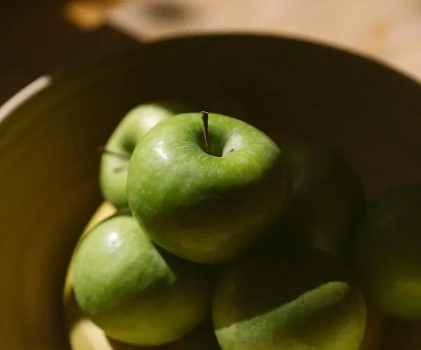 Casa de hóspedes Sãone - Coworking&retreat Location Ericeira