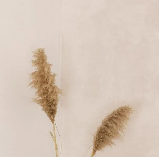 Sãone - Coworking&retreat Location *