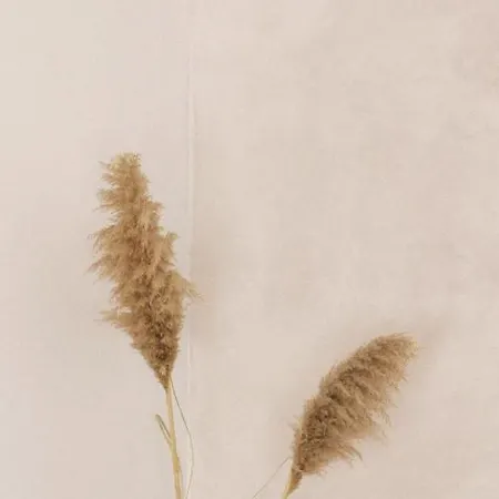 Sãone - Coworking&retreat Location *