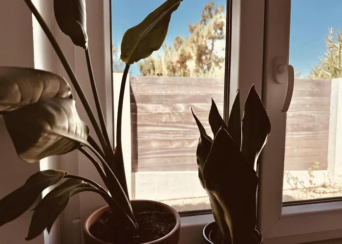 ゲストハウス Saone - Coworking & Retreat Location *